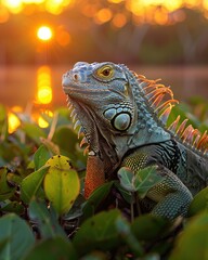 Fototapeta premium iguana on sunlit tree branch with natural forest view ai generated