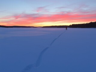 Cross country skier in a magical winter wonderland in Scandinavia at sunset, tranquil, snow