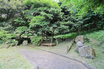 산 정상을 올라가는 숲 길 제주 제주시 봉개동 안세미오름