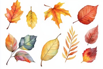 Obraz premium Watercolor illustration of a collection of autumn leaves in various shades of yellow, orange, and red.