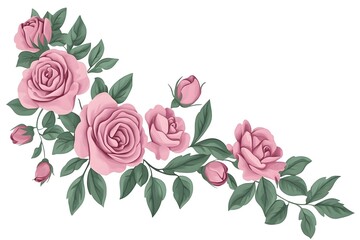 Watercolor Flower, Painting on canvas, Illustration Retro set with different daisy flowers. Colorful vector illustration isolated on white background in vintage style flower, watercolor, vector, pink,