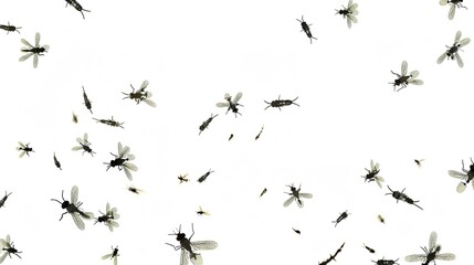 Obraz premium Flying Mosquitoes on White Background, Small Insects in Mid-air, Creating a Simple yet Intriguing Visual Scene.