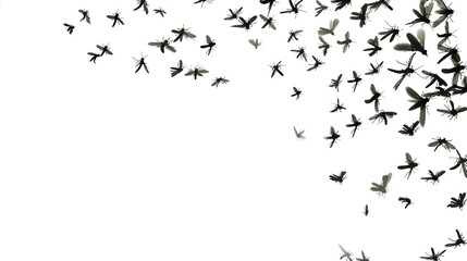 Fototapeta premium Flying Mosquitoes on White Background, Small Insects in Mid-air, Creating a Simple yet Intriguing Visual Scene.