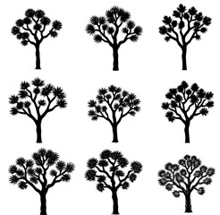 Obraz premium Set of Black Joshua tree vector illustration