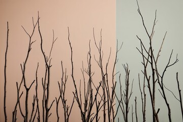 Obraz premium Fotografia przyrodnicza nagich gałęzi na miękkim pastelowym tle
