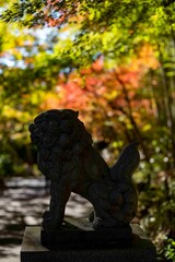 鎌倉2412　建長寺8　紅葉