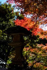 鎌倉2412　建長寺4　半僧坊　紅葉