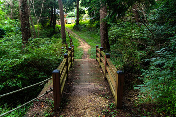 Obraz premium wooden bridge on the stream