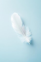 A delicate white feather rests on a soft blue background.