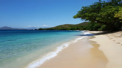 Fototapeta premium Serene tropical beach scene with turquoise water, white sand, and lush greenery under a clear blue sky.
