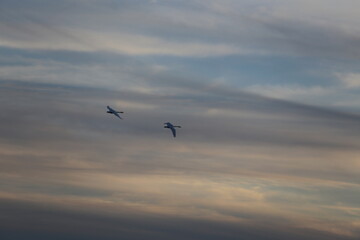 Historical filming in its heyday, which was the last swan migration to Azumino