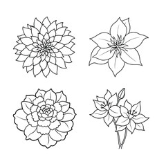 Set of Flower Silhouettes and Line Art Design Illustrations