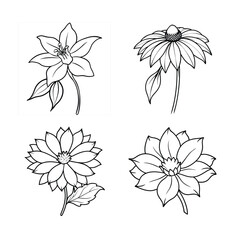 Set of Flower Silhouettes and Line Art Design Illustrations