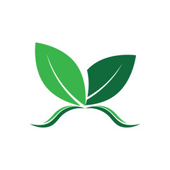 Green tree leaf nature logo images