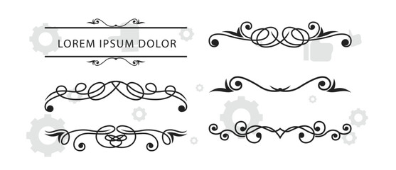 Set of isolated decorative floral swirls and thin dividers. Plant elements, vector illustration