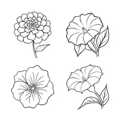 Set of Flower Silhouettes and Line Art Design Illustrations