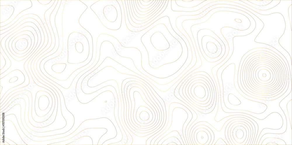 Poster Abstract white golden gradient Topographic line map pattern background. Contour elevation topographic and textured Background Modern design with White background with topographic wavy patte.	