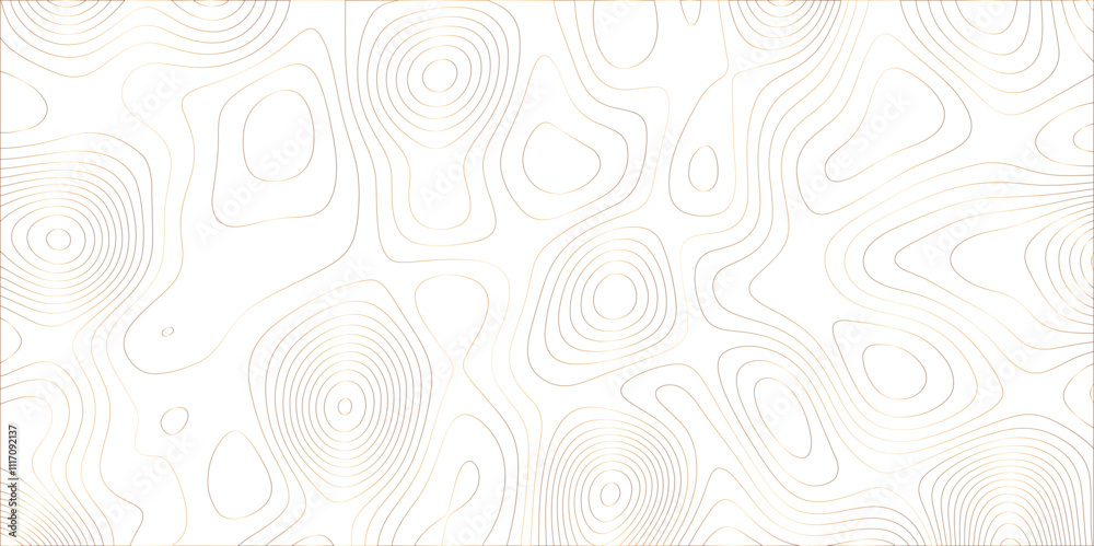 Poster Abstract white golden gradient Topographic line map pattern background. Contour elevation topographic and textured Background Modern design with White background with topographic wavy patte.	