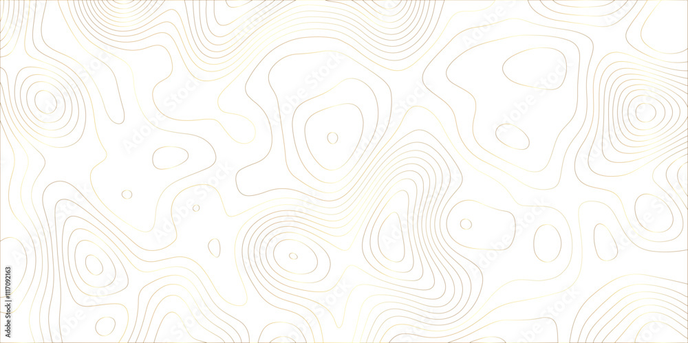 Leinwandbilder Abstract white golden gradient Topographic line map pattern background. Contour elevation topographic and textured Background Modern design with White background with topographic wavy patte.	