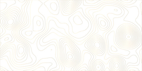 Abstract white golden gradient Topographic line map pattern background. Contour elevation topographic and textured Background Modern design with White background with topographic wavy patte.	