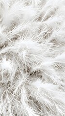 Obraz premium A close-up of soft, white, feathery textures resembling fur or feathers.