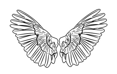 Angel Wings outline