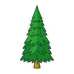 Obraz premium yew tree vector illustration.