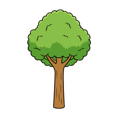 kauri tree vector illustration.