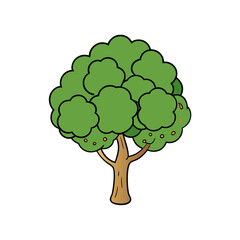 Original name(s): mulberry tree vector illustration