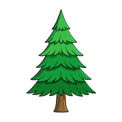  pine tree vector illustration