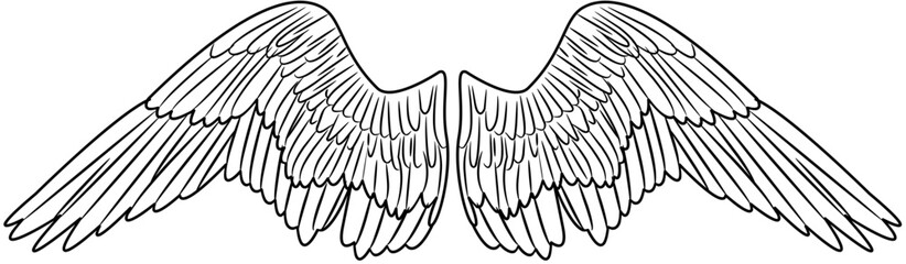 Angel Wings outline