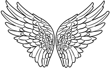 Angel Wings outline