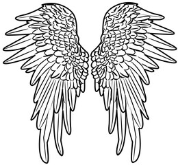 Obraz premium Angel Wings outline