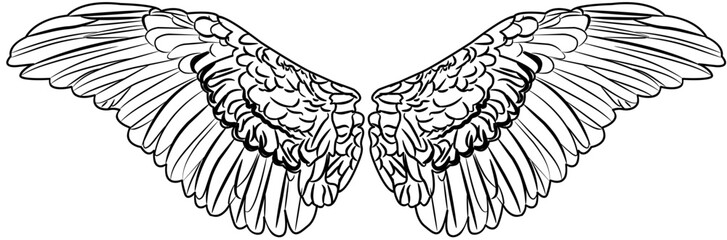 Angel Wings outline