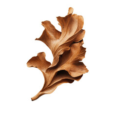 Fototapeta premium Intricate wooden leaf sculpture with natural textures