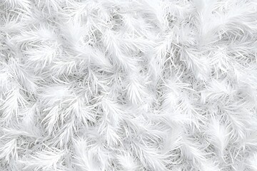 Obraz premium A close-up view of soft, white, feather-like textures creating a fluffy background.