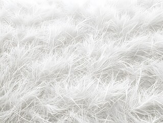 Fototapeta premium A close-up view of textured white fibers resembling soft grass or fur.