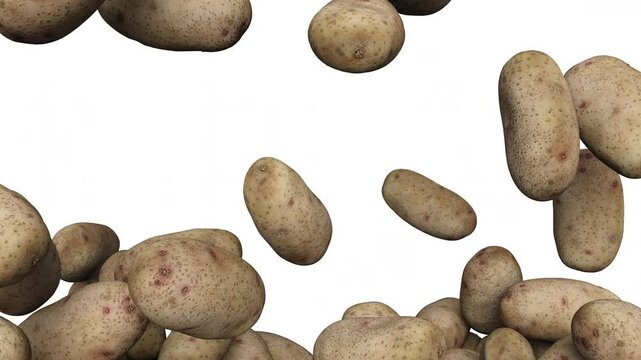Full frame of falling raw potatoes on white background. 3d rendering animation. Luma Matte included.