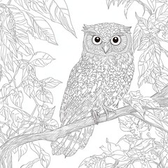 Fototapeta premium Detailed line art drawing of an owl perched on a branch amidst foliage.