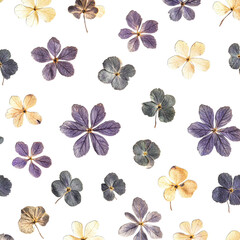 Obraz premium set of flowers