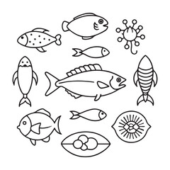 Seafood and fish glyph icon set vector illustrator. Engraved fish bream, mackerel, tuna or sterlet, catfish, codfish and halibut, lobster