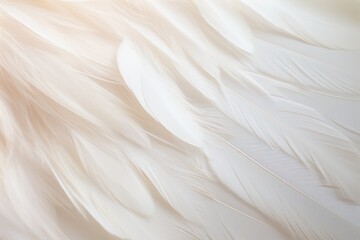 Stunning close-up of a white angel wing, focusing on the fine details of the feathers and their delicate layering. The wing is portrayed with a subtle sheen, emphasizing its soft and light appearance