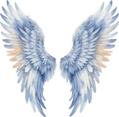 Obraz premium A pair of rainbow colored angel wings on a white background