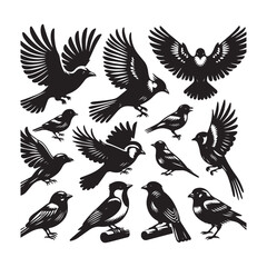 Set of bird silhouette vector. Flat vector icons of bird silhouettes. Birds flying.