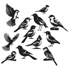 Set of bird silhouette vector. Flat vector icons of bird silhouettes. Birds flying.