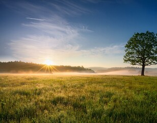 Fototapeta premium Alone tree on meadow at sunset with sun and mist - panorama