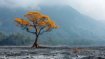 Solitary tree with golden leaves in misty mountain landscape.