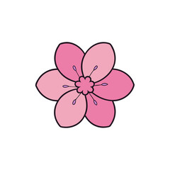 cherry blossom vector illustration