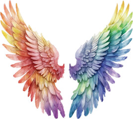Obraz premium An image of a rainbow colored wing on a white background