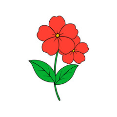  impatiens vector illustration